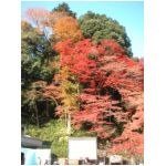 TAKAO071202_02.JPG