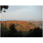 TAKAO071202_15.JPG