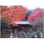 TAKAO071202_19.JPG