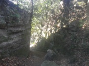 2010-01-24-02-s.jpg