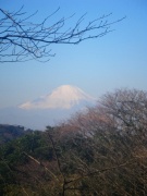 2010-01-24-03-s.jpg
