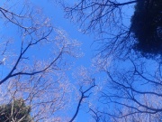 2010-01-24-04-s.jpg