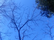 2010-01-24-06-s.jpg