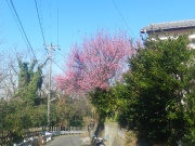 2010-01-24-07-s.jpg