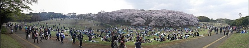 根岸森林公園パノラマ