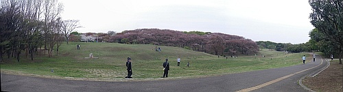 根岸森林公園パノラマ