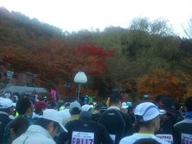 富士山マラソン1