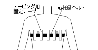ベルト固定方法