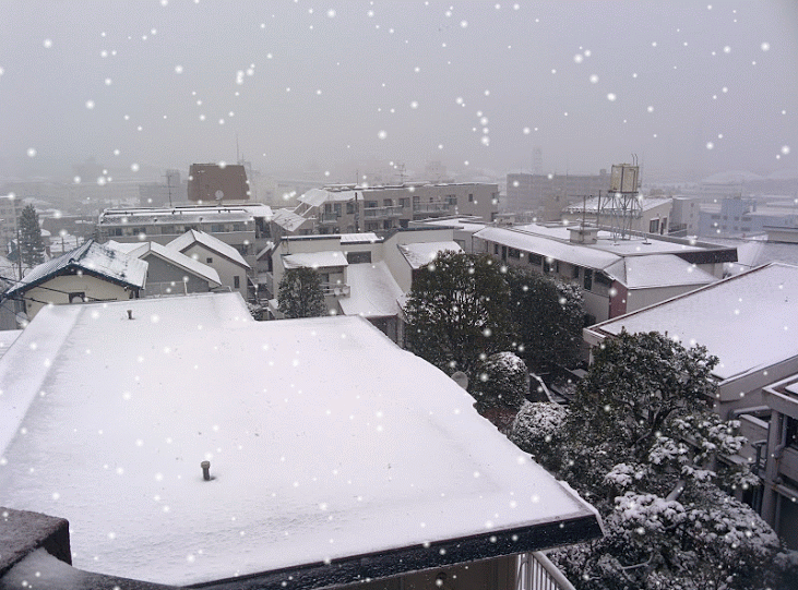 雪景色googleおまかせビジュアル写真