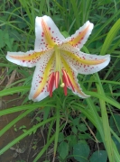 高尾陣馬2